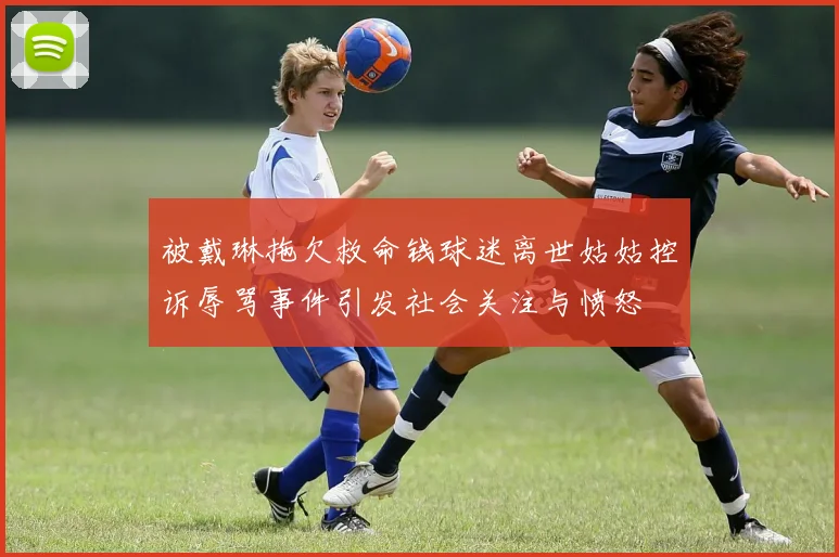 被戴琳拖欠救命钱球迷离世姑姑控诉辱骂事件引发社会关注与愤怒